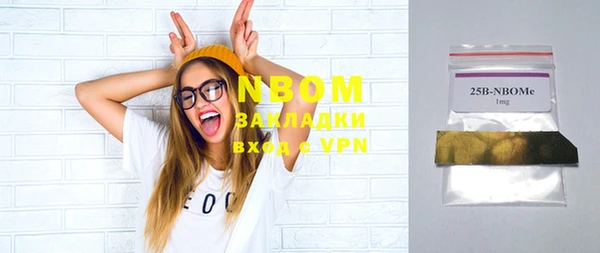 ECSTASY Ельня